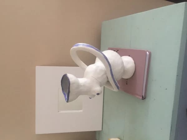 MeshaSwims Instagram 6